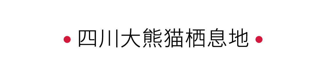 四川大熊貓棲息地:一個(gè)“活的博物館” | 手機(jī)里的中國世界遺產(chǎn)