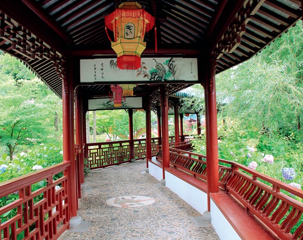 一個(gè)比利時(shí)人的“中國夢(mèng)”