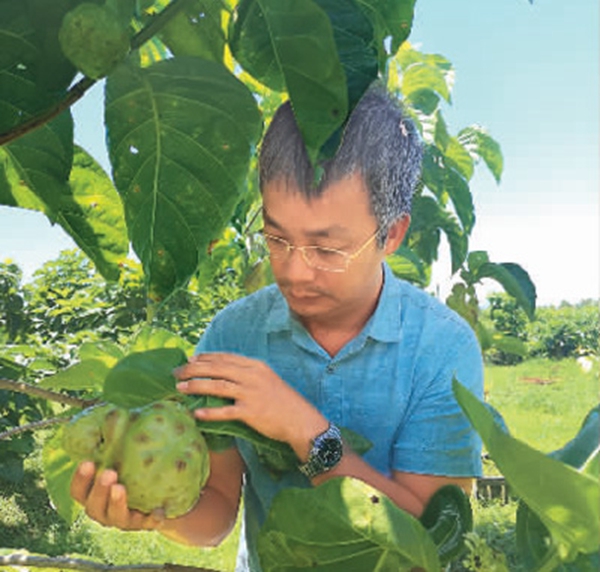 “‘一帶一路’讓太平洋明珠更加璀璨”（這十年，“一帶一路”上的僑力量⑩）