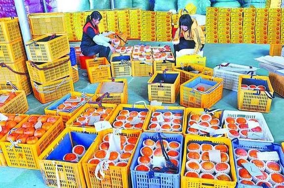 仙游臺(tái)創(chuàng)園：果實(shí)累累，香飄兩岸