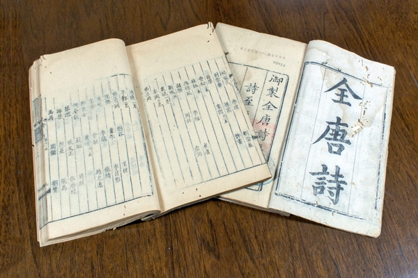 “古鎮(zhèn)金三角”，破題“千鎮(zhèn)一面”