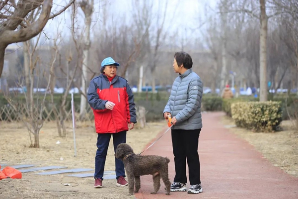 “銀齡管家”獻(xiàn)余熱，遛彎“挑刺”促文明