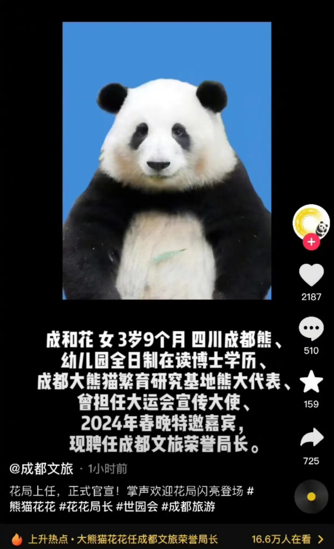 成都官宣！“花局”上任