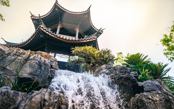花聚錦官城！“園”來這么美