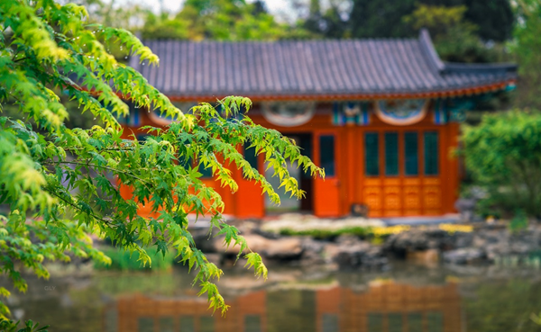 世園會展園“鮮”劇透！這個(gè)“五一”共赴繁花之約