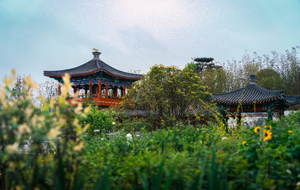 世園會展園“鮮”劇透！這個(gè)“五一”共赴繁花之約